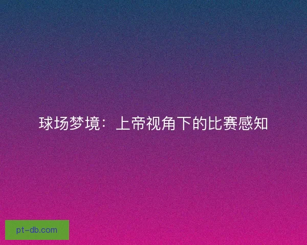 球场梦境：上帝视角下的比赛感知