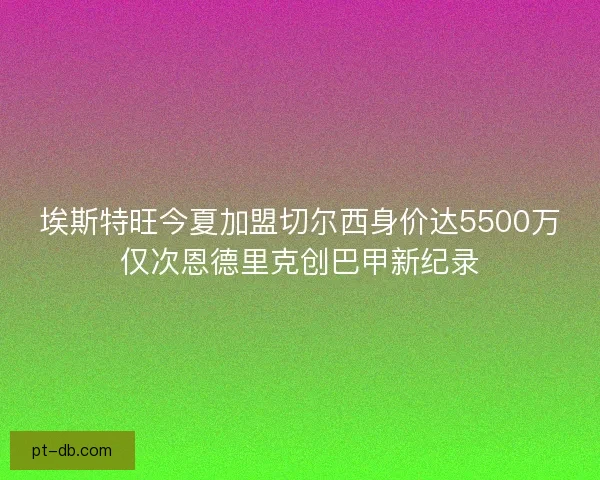 埃斯特旺今夏加盟切尔西身价达5500万仅次恩德里克创巴甲新纪录