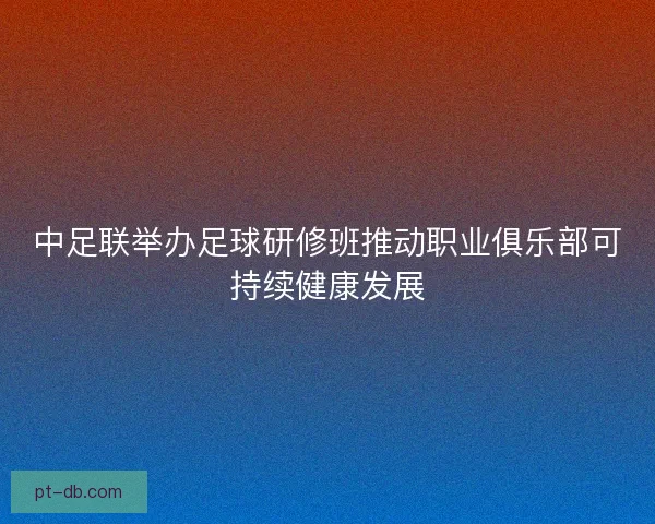 中足联举办足球研修班推动职业俱乐部可持续健康发展